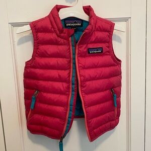 Patagonia Vibrant Pink and Blue Jacket